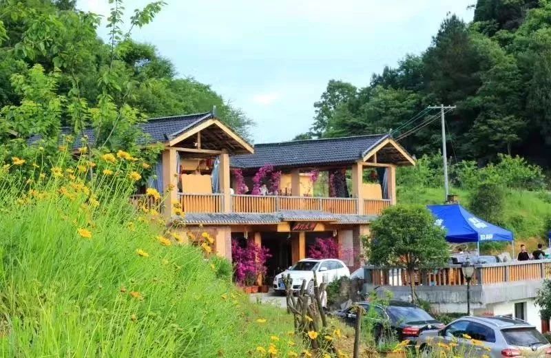 有关于2023春游遵义·采茶篇：“趣”茶园 茶文化主题游精品线路的相关信息(15)