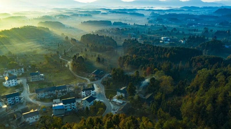 有关于2023春游遵义·采茶篇：“趣”茶园 茶文化主题游精品线路的相关信息(10)