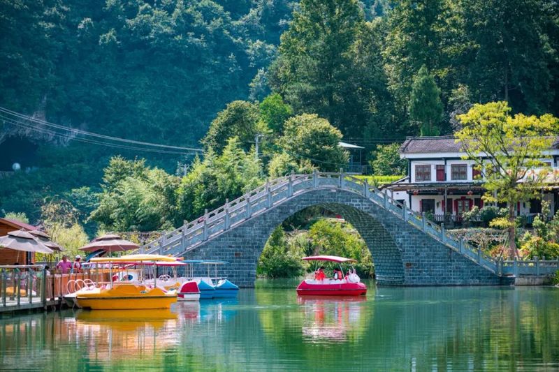 有关于2023春游遵义·采茶篇：“趣”茶园 茶文化主题游精品线路的相关信息(9)