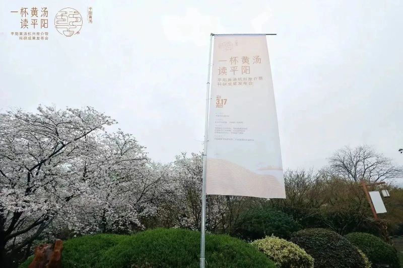 有关于平阳黄汤杭州推介暨科研成果发布会在中国茶叶博物馆举行的内容(17)