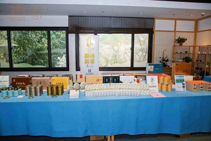 有关于平阳黄汤杭州推介暨科研成果发布会在中国茶叶博物馆举行的内容(3)