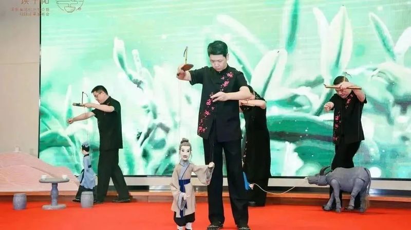 有关于平阳黄汤杭州推介暨科研成果发布会在中国茶叶博物馆举行的内容(10)