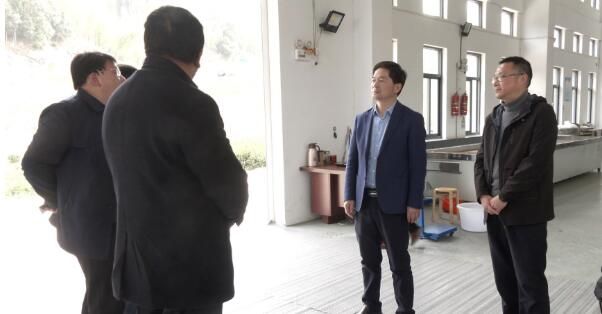 有关于罗文调研霍山县茶产业发展情况的消息(1)