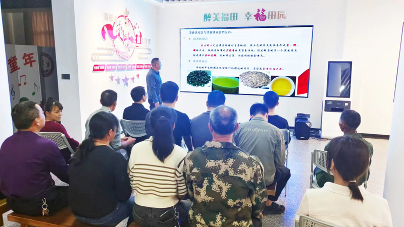 有关于福田乡：推进“三茶统筹”，助力茶产业发展的最新消息(1)