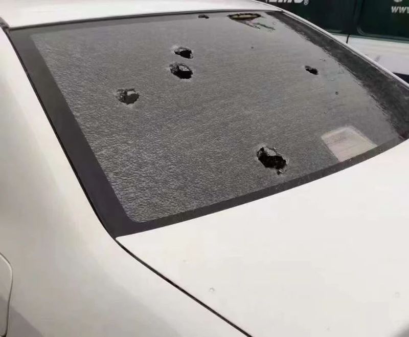 关于冰雹暴雨突袭福鼎白茶产区，白毫银针产量将大幅减产的消息(5)