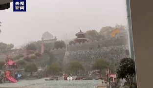 关于冰雹暴雨突袭福鼎白茶产区，白毫银针产量将大幅减产的消息