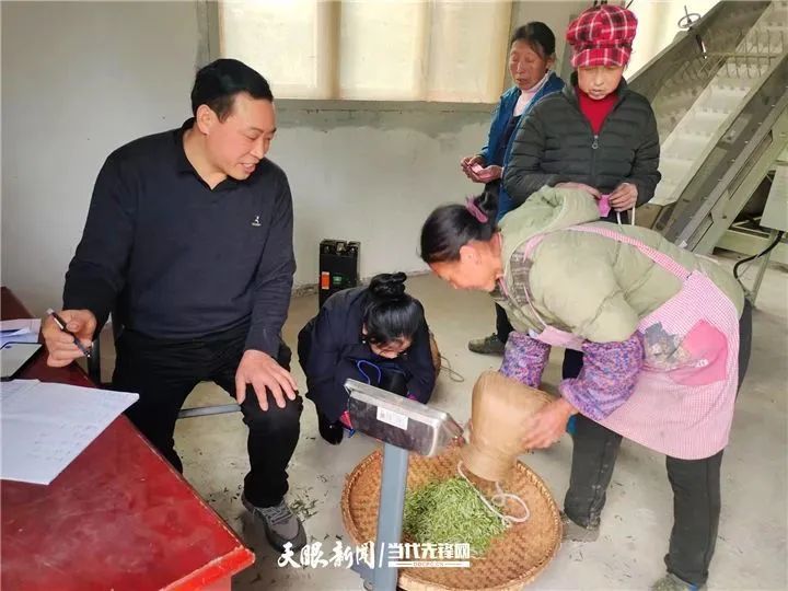 关于抗旱减灾！凤冈茶园科技赋能化“危”为“机”的内容(4)