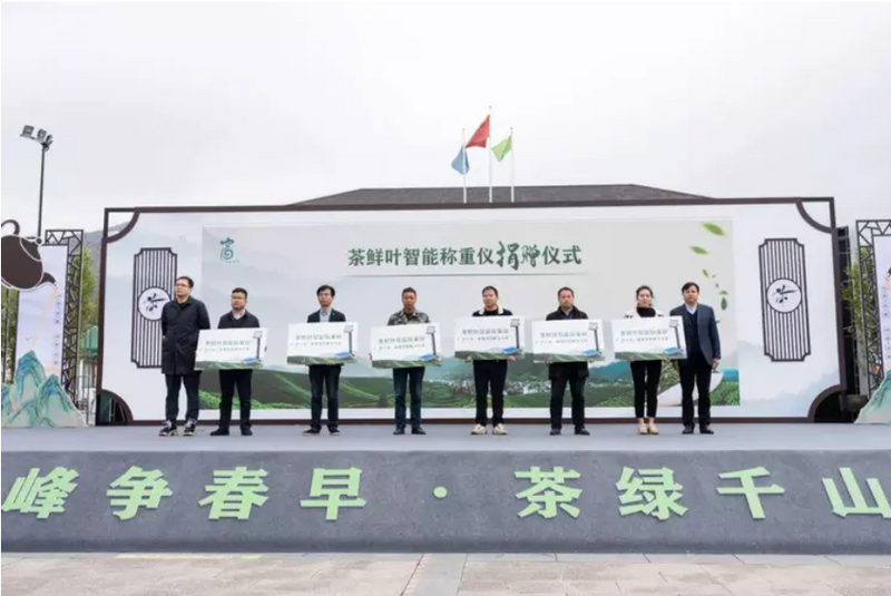 关于拔山高峰争春早，茶绿千山迎四方——“卢正浩杯”杭州市第四届龙井茶手工炒制技能大赛暨拔山开茶节成功举办的信息(10)