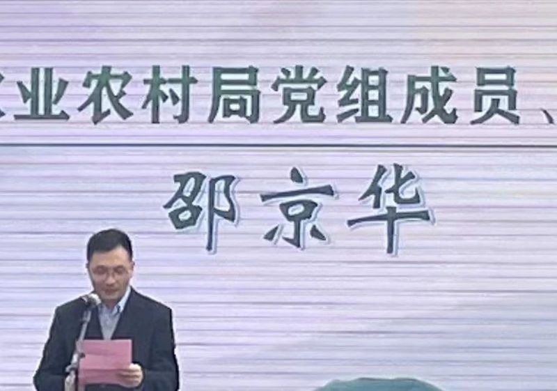 关于拔山高峰争春早，茶绿千山迎四方——“卢正浩杯”杭州市第四届龙井茶手工炒制技能大赛暨拔山开茶节成功举办的信息(5)