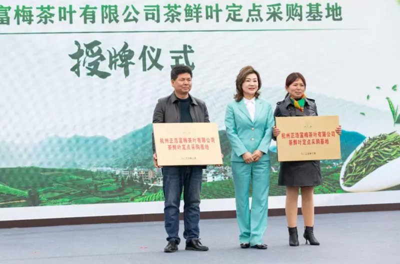 关于拔山高峰争春早，茶绿千山迎四方——“卢正浩杯”杭州市第四届龙井茶手工炒制技能大赛暨拔山开茶节成功举办的信息(6)
