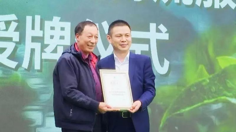 关于中国名茶之都·黄山2023第十五届黄山毛峰茶文化节盛大启幕的资讯(4)
