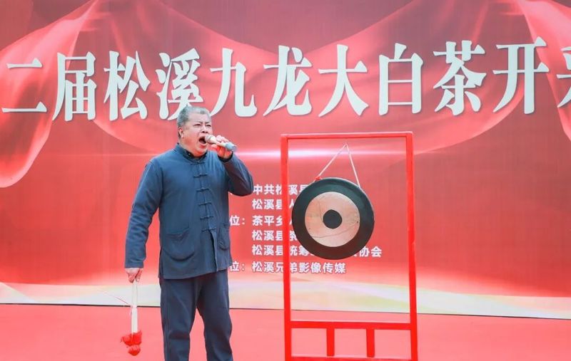 关于春光明媚向共富！松溪九龙大白茶开采的消息(3)