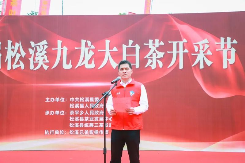 关于春光明媚向共富！松溪九龙大白茶开采的消息(2)