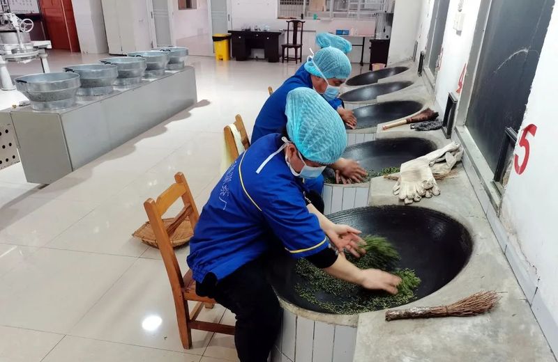 有关于都匀：春茶市场旺 茶企产销忙的消息(3)
