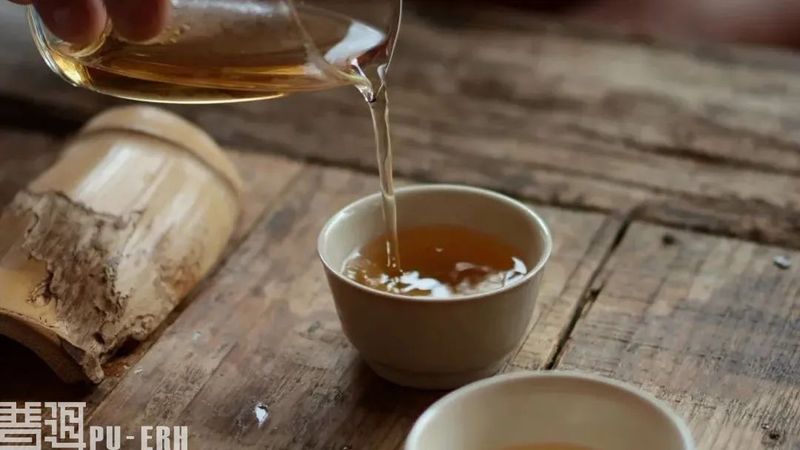 有关于普洱茶的新面孔 你看清了吗？的相关内容(5)