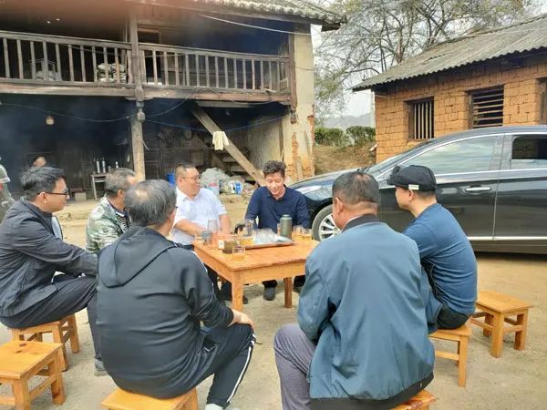 有关于云南茶叶所专家到怒江州开展茶产业调研的内容(1)