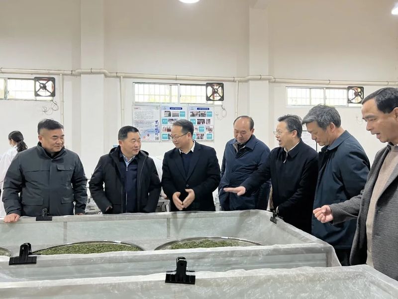 关于2023年全州茶产业高质量发展研讨会顺利召开的相关内容(2)