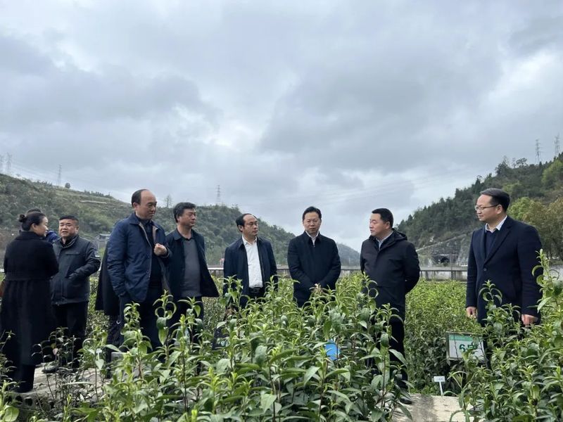 关于2023年全州茶产业高质量发展研讨会顺利召开的相关内容(1)