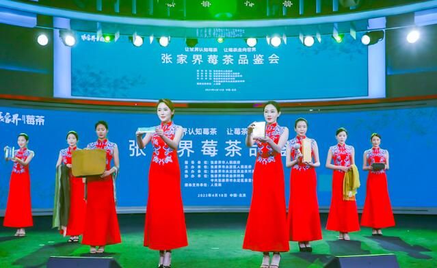 关于探索茶旅融合新模式，张家界莓茶产业实现综合产值25亿元的最新消息