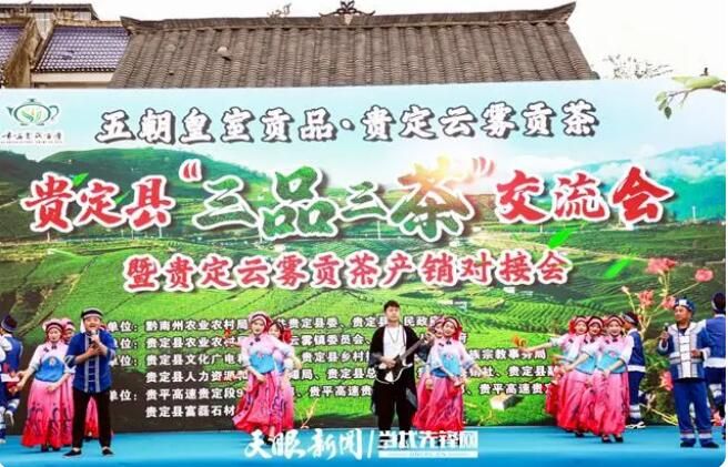 关于贵定县“三品三茶”交流会暨贵定云雾贡茶产销对接会在云雾镇隆重举行的资讯(2)