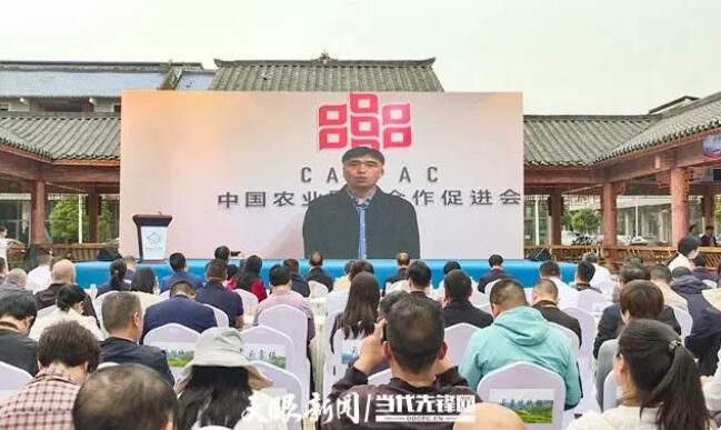 关于贵定县“三品三茶”交流会暨贵定云雾贡茶产销对接会在云雾镇隆重举行的资讯(3)