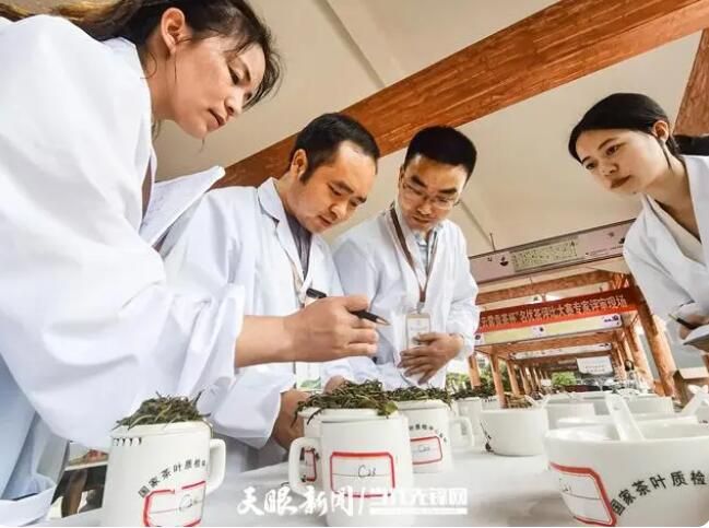 关于贵定县“三品三茶”交流会暨贵定云雾贡茶产销对接会在云雾镇隆重举行的资讯(11)