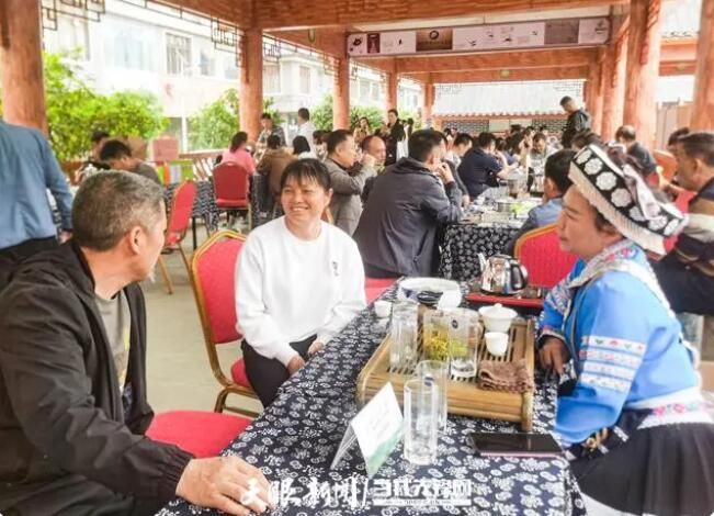 关于贵定县“三品三茶”交流会暨贵定云雾贡茶产销对接会在云雾镇隆重举行的资讯(13)