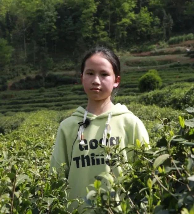 有关于汉中镇巴：传承手工制茶技艺 打造研学劳动教育基地的内容(3)