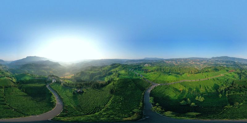 有关于2023年贵州茶“十佳评选”春日正好！去这些最美茶山来一场说走就走的旅行的最新消息(14)