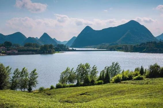 有关于2023年贵州茶“十佳评选”春日正好！去这些最美茶山来一场说走就走的旅行的最新消息(5)