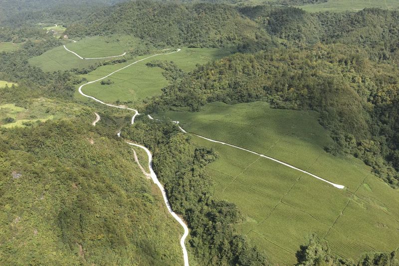 有关于2023年贵州茶“十佳评选”春日正好！去这些最美茶山来一场说走就走的旅行的最新消息(17)