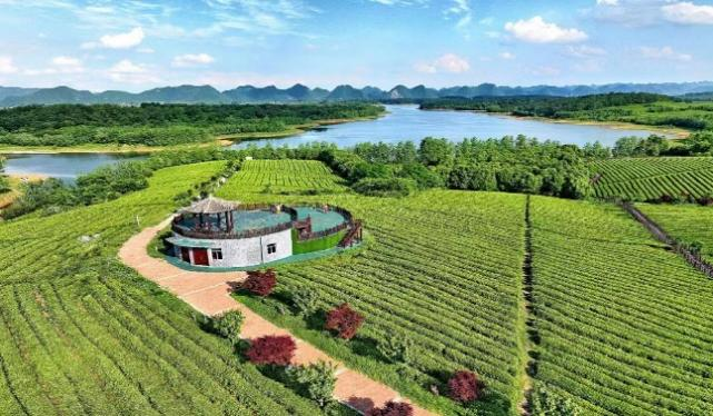 有关于2023年贵州茶“十佳评选”春日正好！去这些最美茶山来一场说走就走的旅行的最新消息(6)