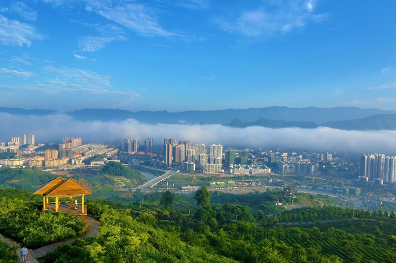 有关于2023年贵州茶“十佳评选”春日正好！去这些最美茶山来一场说走就走的旅行的最新消息(1)