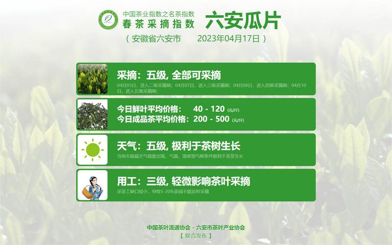 关于2023春茶季：太平猴魁、武夷岩茶及安溪铁观音部分品类开采的消息(10)