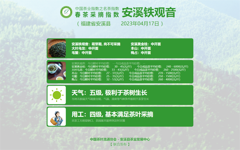 关于2023春茶季：太平猴魁、武夷岩茶及安溪铁观音部分品类开采的消息(13)