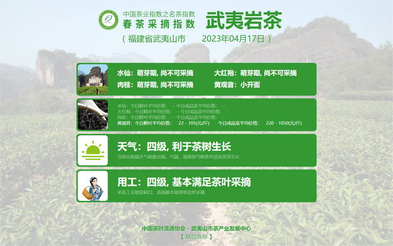 关于2023春茶季：太平猴魁、武夷岩茶及安溪铁观音部分品类开采的消息(12)