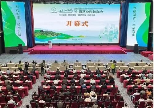 有关于安康富硒茶连续三年稳居中国茶叶区域公用品牌排行榜20强的资讯