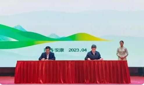 有关于安康富硒茶连续三年稳居中国茶叶区域公用品牌排行榜20强的资讯(3)