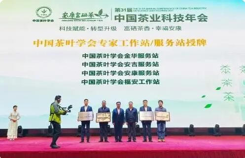 有关于安康富硒茶连续三年稳居中国茶叶区域公用品牌排行榜20强的资讯(2)