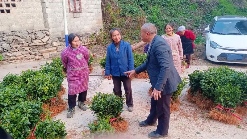 有关于明英村：茶园里的“财富密码”的资讯(5)
