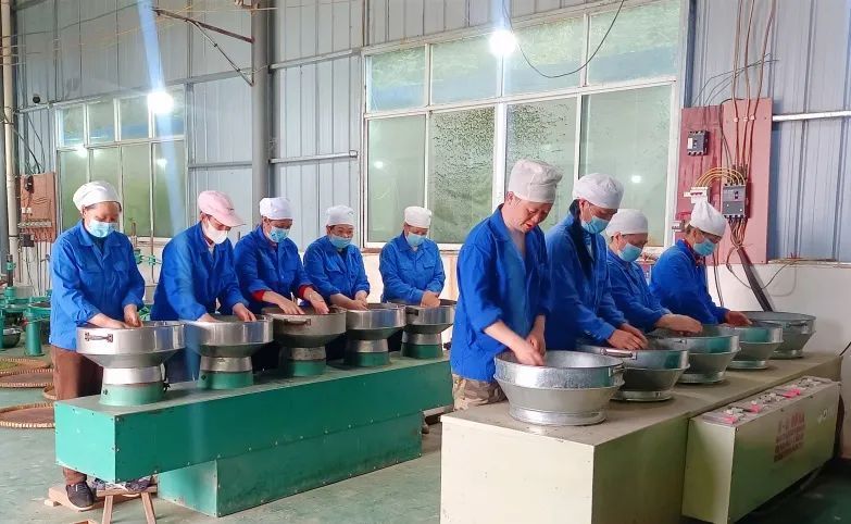 有关于明英村：茶园里的“财富密码”的资讯(6)