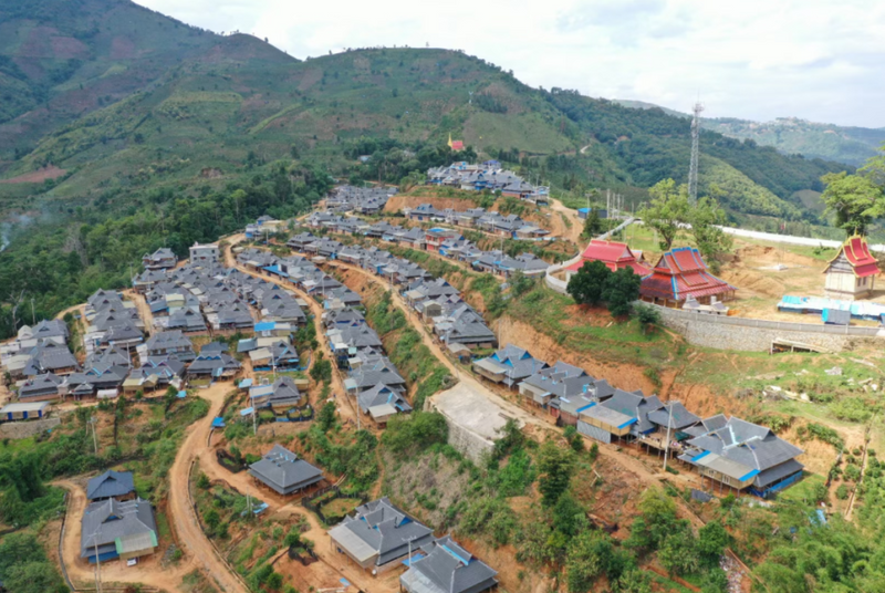 有关于布朗山乡：一片茶叶铺就一条乡村振兴之路的内容(2)