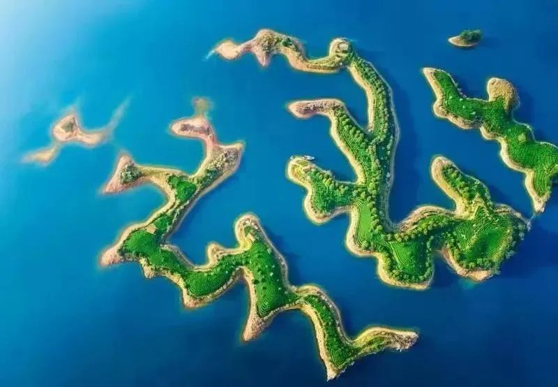 关于2023中国·千岛湖茶博览会开幕的消息(3)