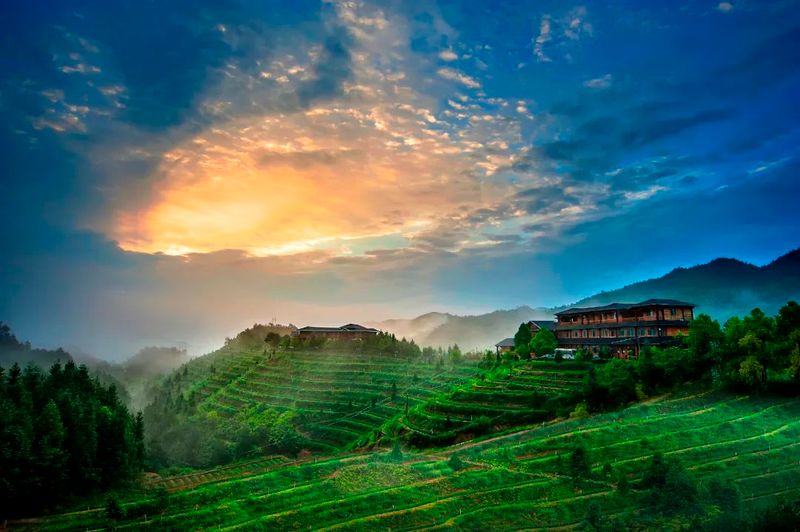 关于透过春茶，窥见安溪的解题新思路的消息(5)