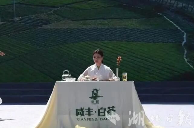 关于2023首届湖北恩施·咸丰富硒白茶节在黄金洞乡举行的相关信息(3)