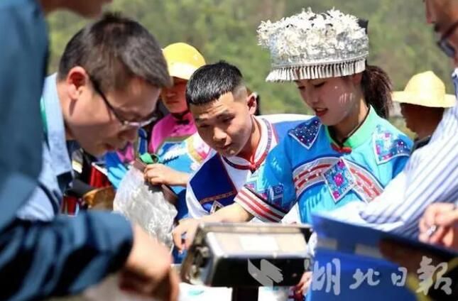 关于2023首届湖北恩施·咸丰富硒白茶节在黄金洞乡举行的相关信息(5)