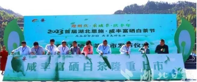 关于2023首届湖北恩施·咸丰富硒白茶节在黄金洞乡举行的相关信息(1)