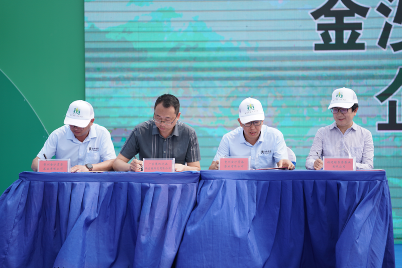 关于2.2亿元！金沙茶产业高质量发展企业集中签约的新闻(3)