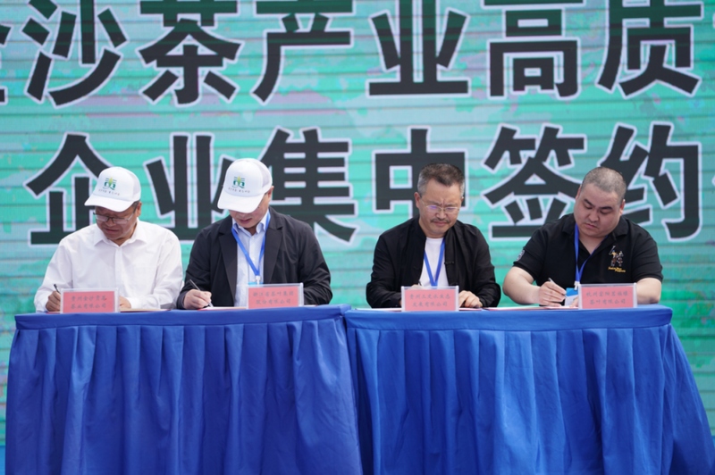 关于2.2亿元！金沙茶产业高质量发展企业集中签约的新闻(2)