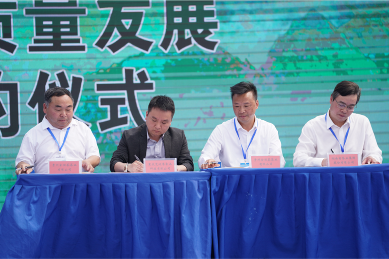 关于2.2亿元！金沙茶产业高质量发展企业集中签约的新闻(1)